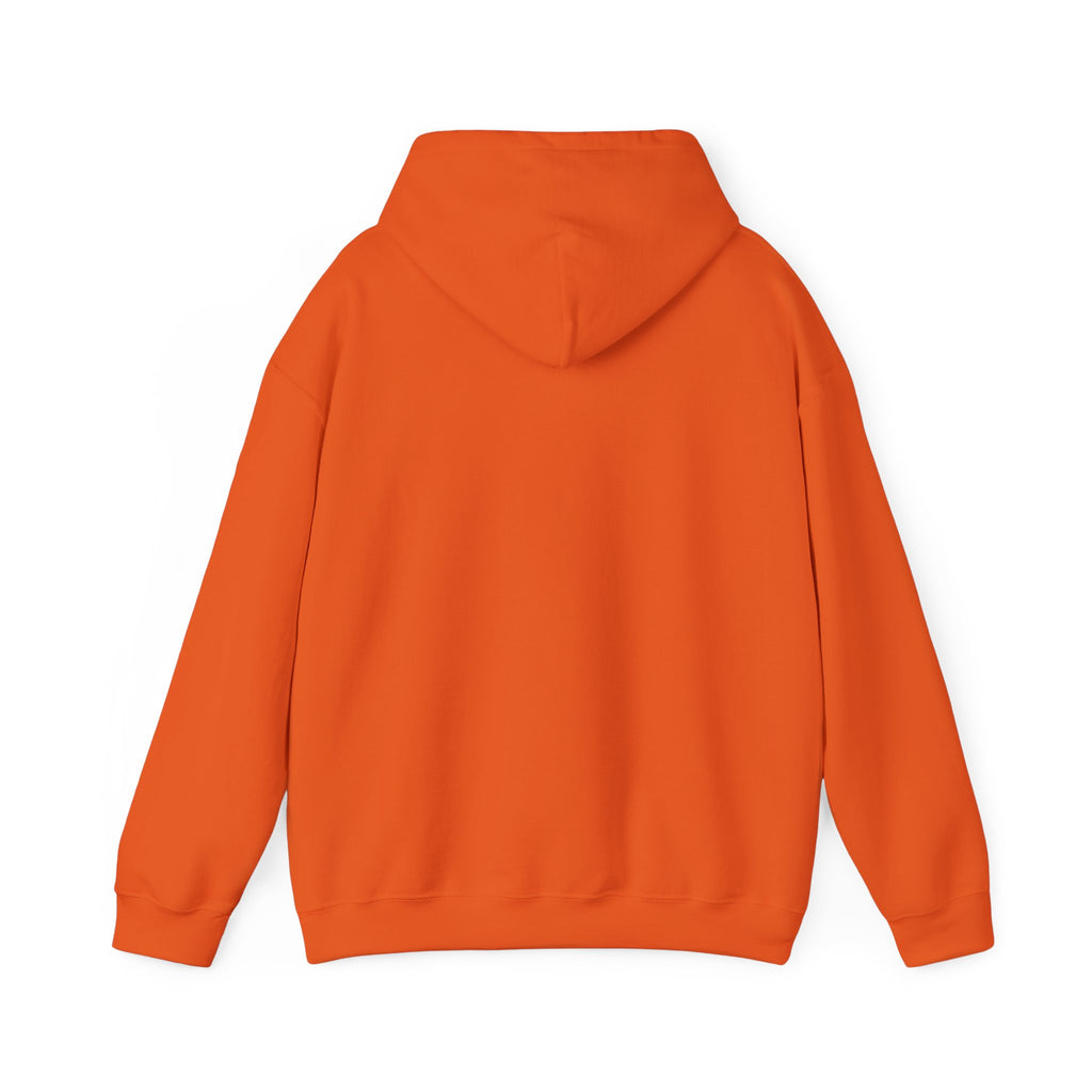 TheBaileys Collection Hoodie