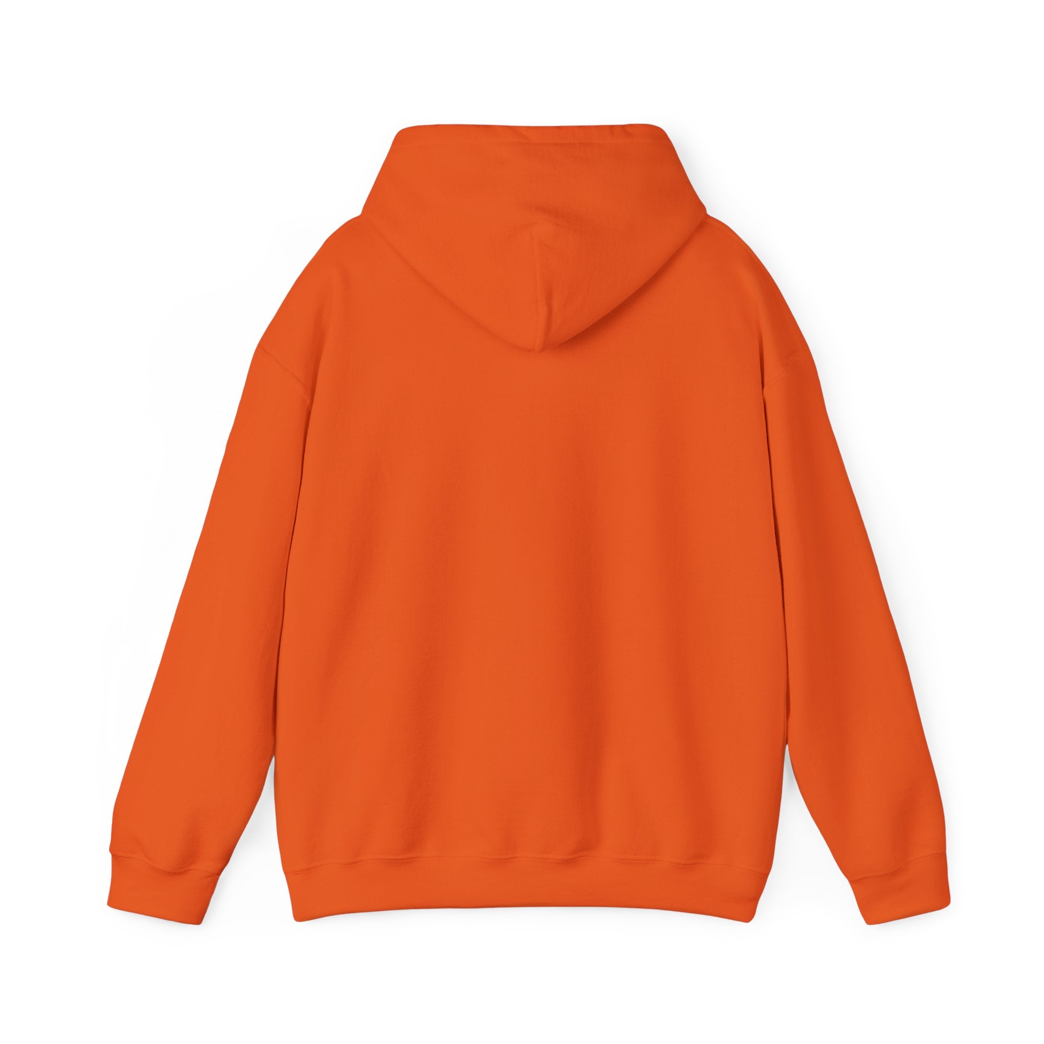 TheBaileys Collection Hoodie